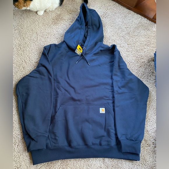 Carhartt Other - Carhartt Men's Rain Defender Hoodie